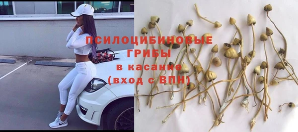 спиды Пестово