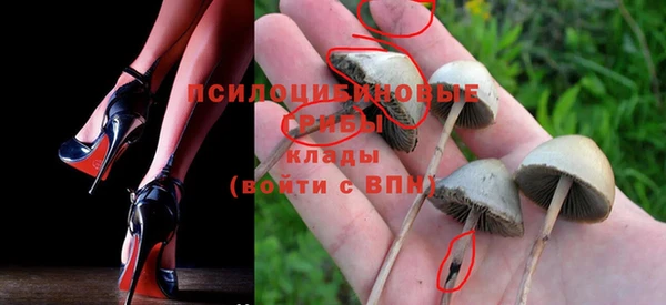 спиды Пестово