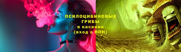 спиды Пестово