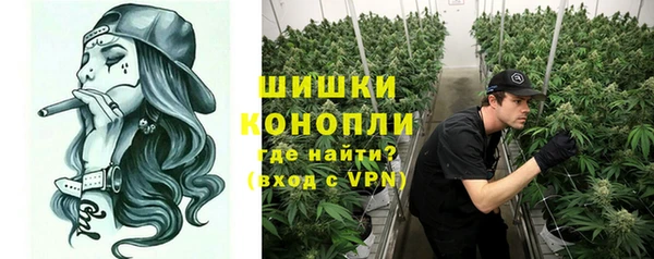 спиды Пестово