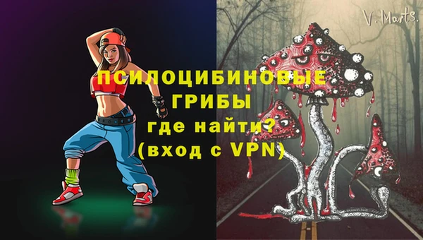jwh Пересвет
