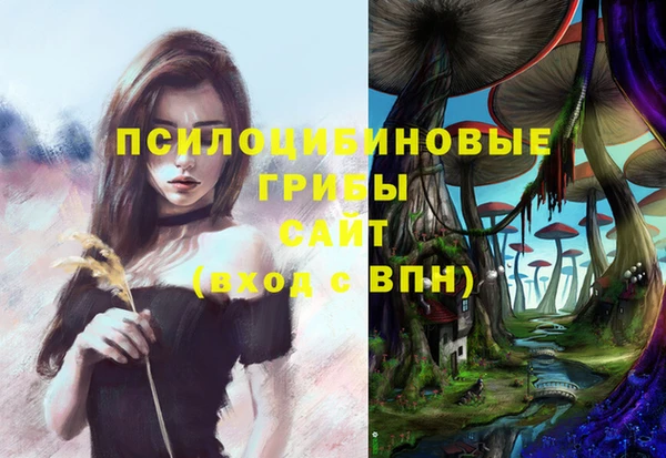 jwh Пересвет