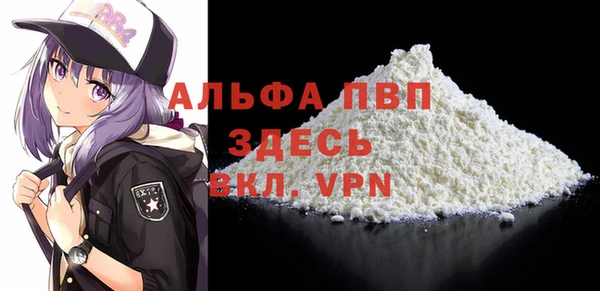 спиды Пестово