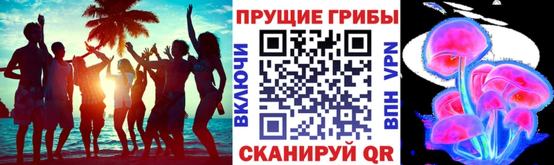 Псилоцибиновые грибы Magic Shrooms Александровское